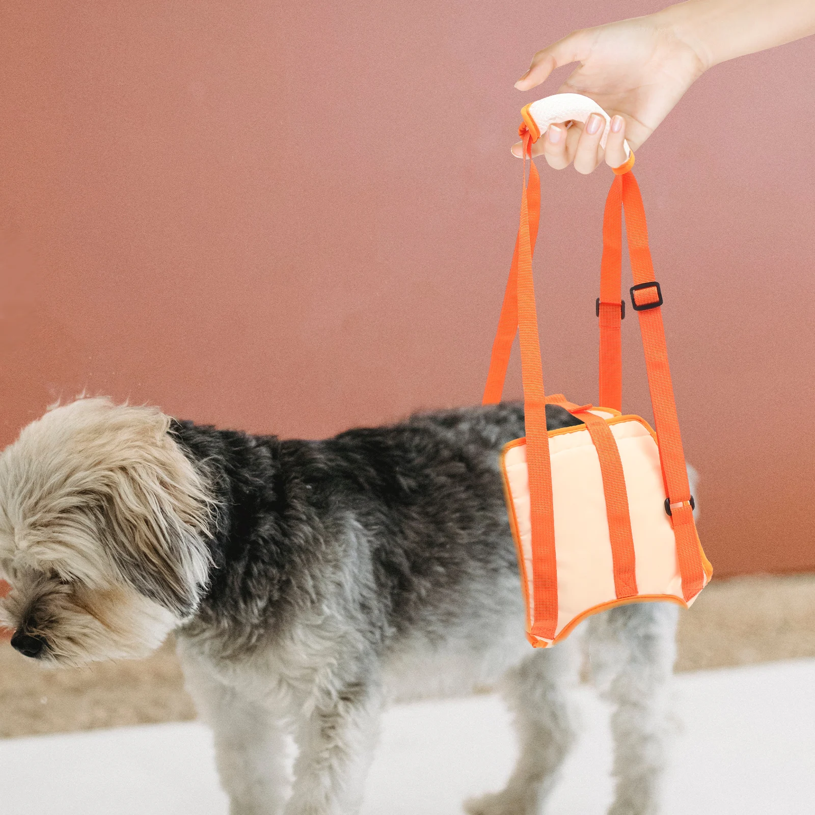 

Pet Auxiliary Belt Senior Dogs Lifting Harness Support Outdoor Rehabilitation Net Injured Dog Oxford Cloth Breathable Warm