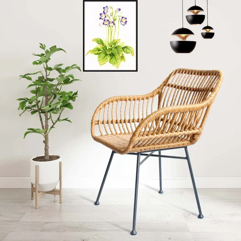 Outdoor Rattan Chairs Kitchen Modern Minimalist Leisure Nordic for garden balcony patio furniture