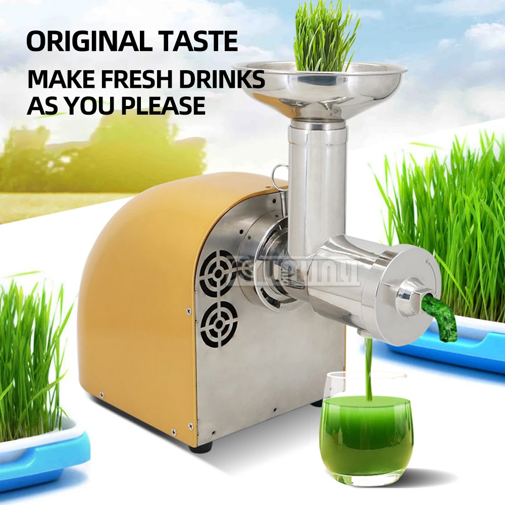 

304 Stainless Steel Juicer Machine Household Automatic Large Diameter Juicer Residue Separation