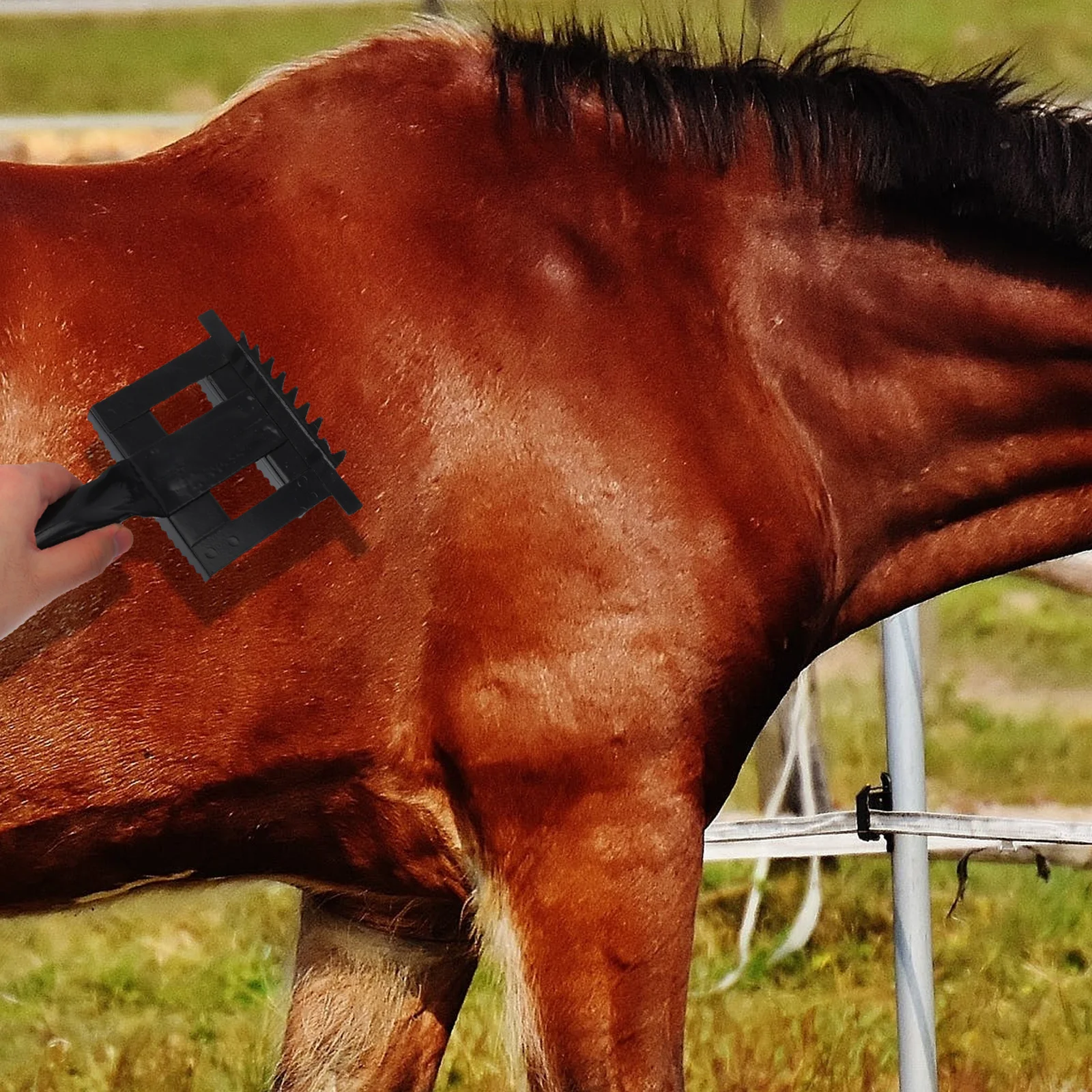 1 قطعة مكشطة الحديد المسننة فرشاة شعر الماشية حجم كبير تساقط مشط قبضة مريحة لوازم التهيأ للماشية #6