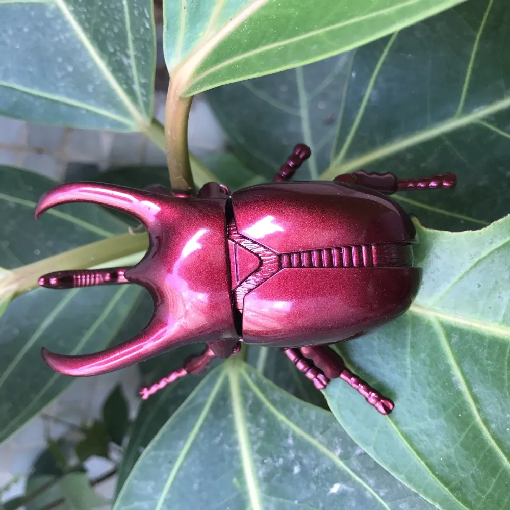 Practical Plastic Wind-Up Beetle Insect Model Material Safety Model Scarab Beetle Puzzle Children's Battle Wind-Up Toy