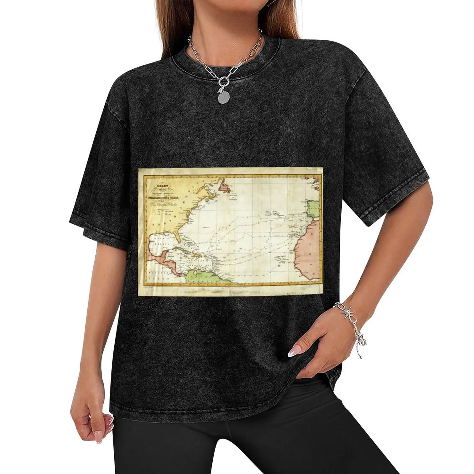 Vintage Christopher Columbus Voyage Map (1828) T-Shirt Funny t-shirt summer clothes men t shirts high quality