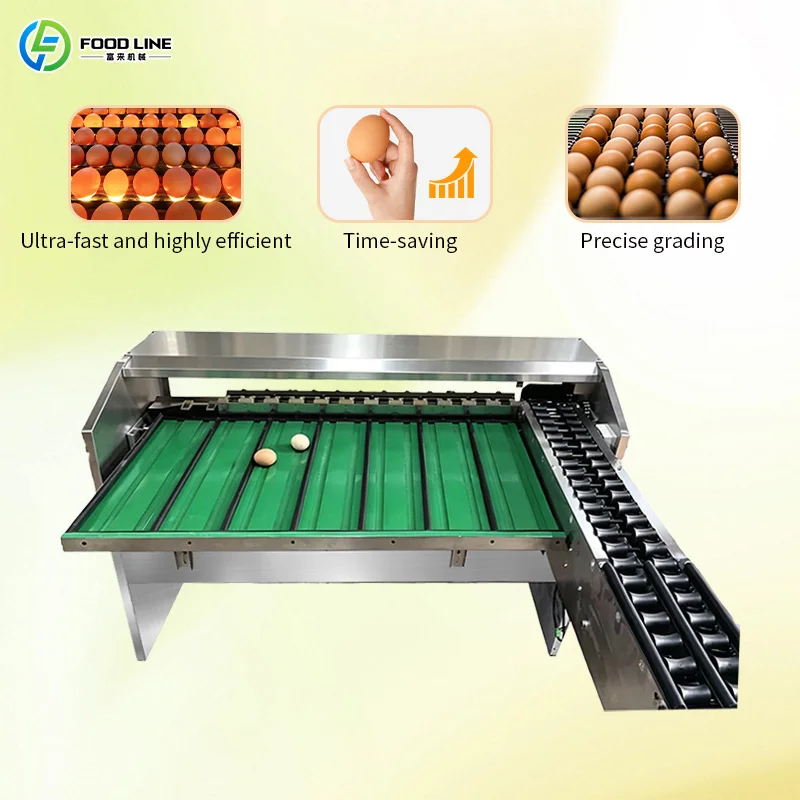 Customized Stainless Steel Commercial Complete Egg Washing Grading Production Line Automatic Egg Cleaning Sorting Process