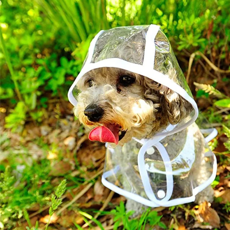 Jas hujan anjing anak anjing transparan, pakaian hujan hewan peliharaan bertudung tahan air lembut PVC anjing kecil jas hujan ponco hujan anak anjing