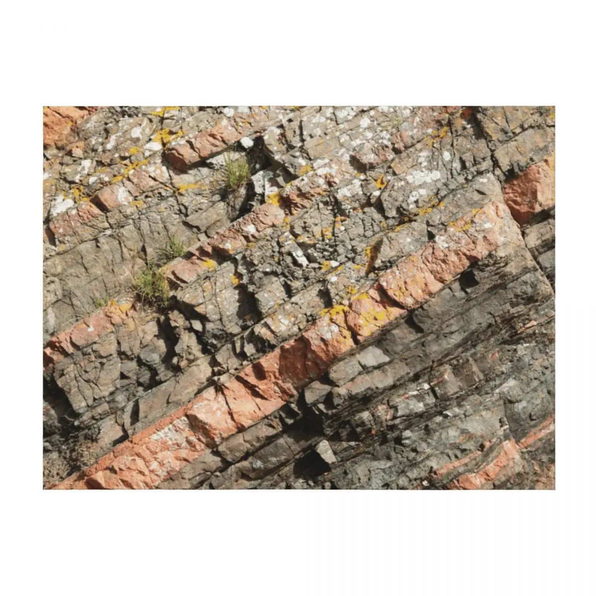 

A slice of geology Throw Blanket Thins Soft Plaid Cute sofa bed Blankets