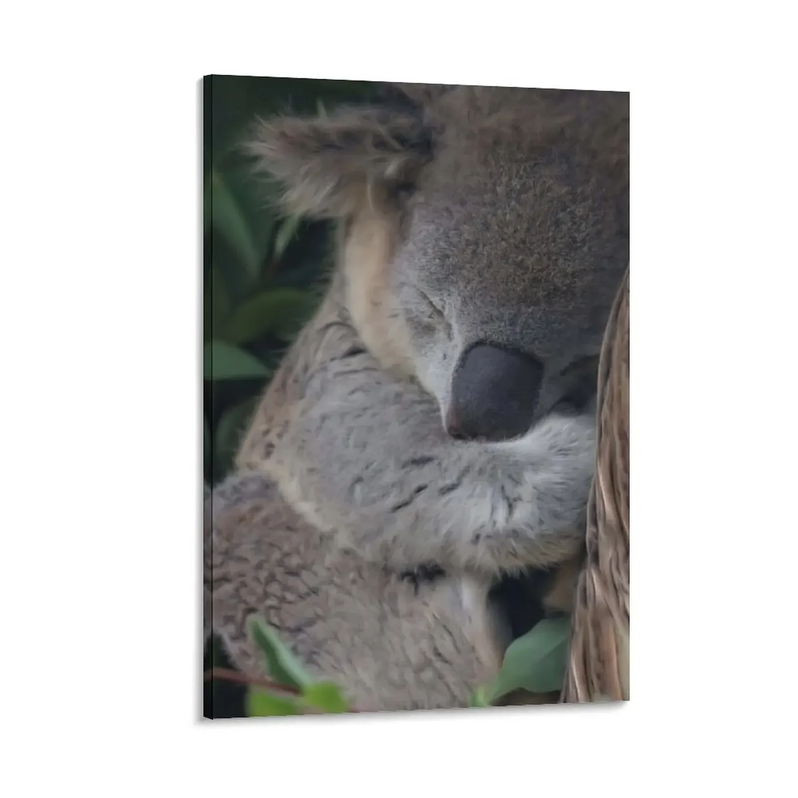 

Sleepy Koala Canvas Painting decorative picture for living room wall decoration paintings anime room decor Posters on the wall