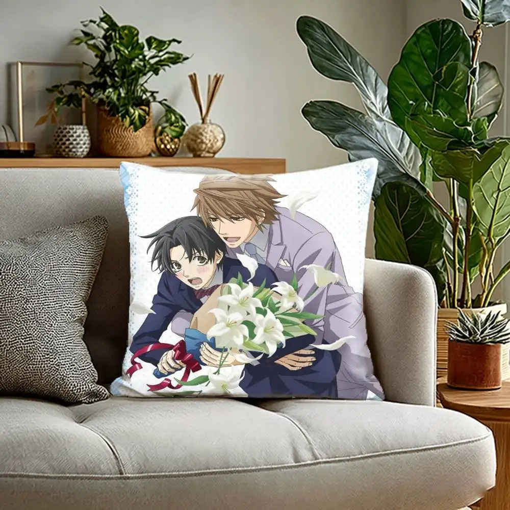Sekai Ichi Hatsuko  Pillow Case Anti-dustmite Pillowcase Invisible zipper silky Sofa cushion cover for bedroom