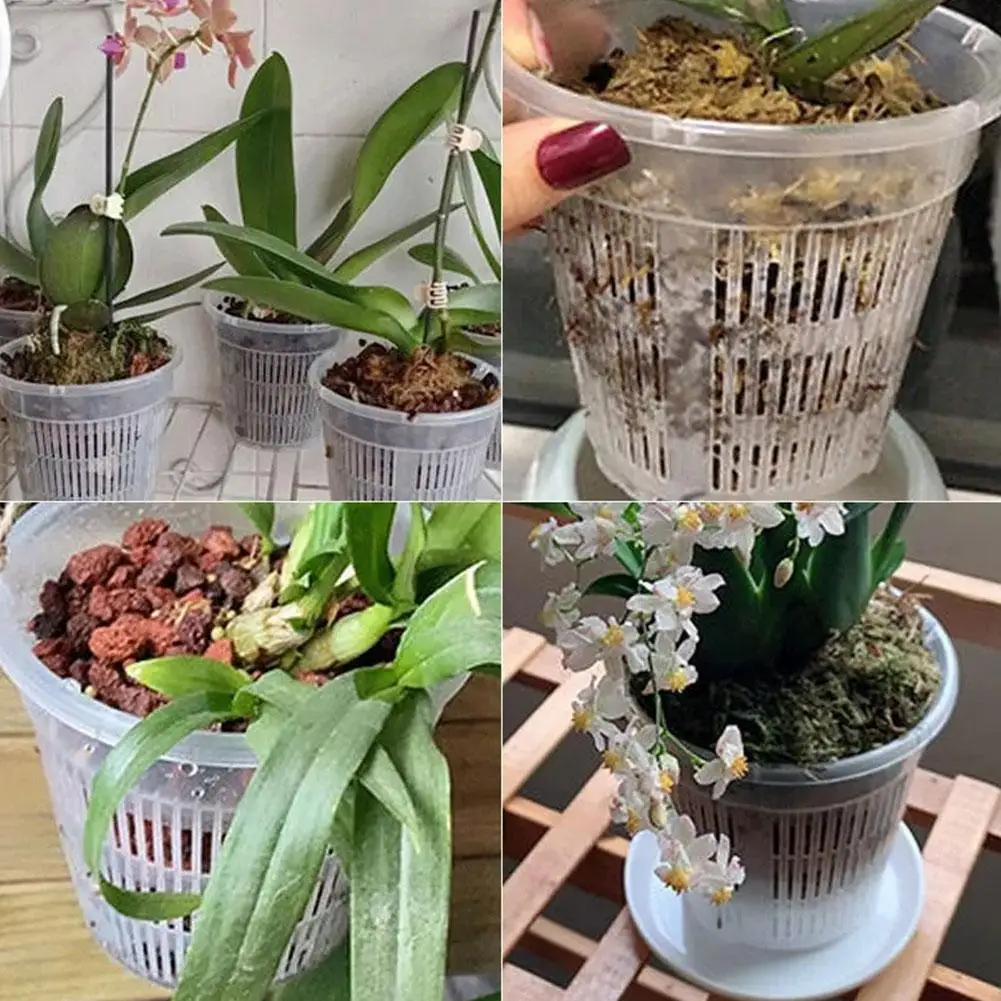 Mesh Pot Root Control Transparent Flowerpot for Phalaenopsis Orchid Cattleya Breathable Container Drainage Hole Orchid Pot