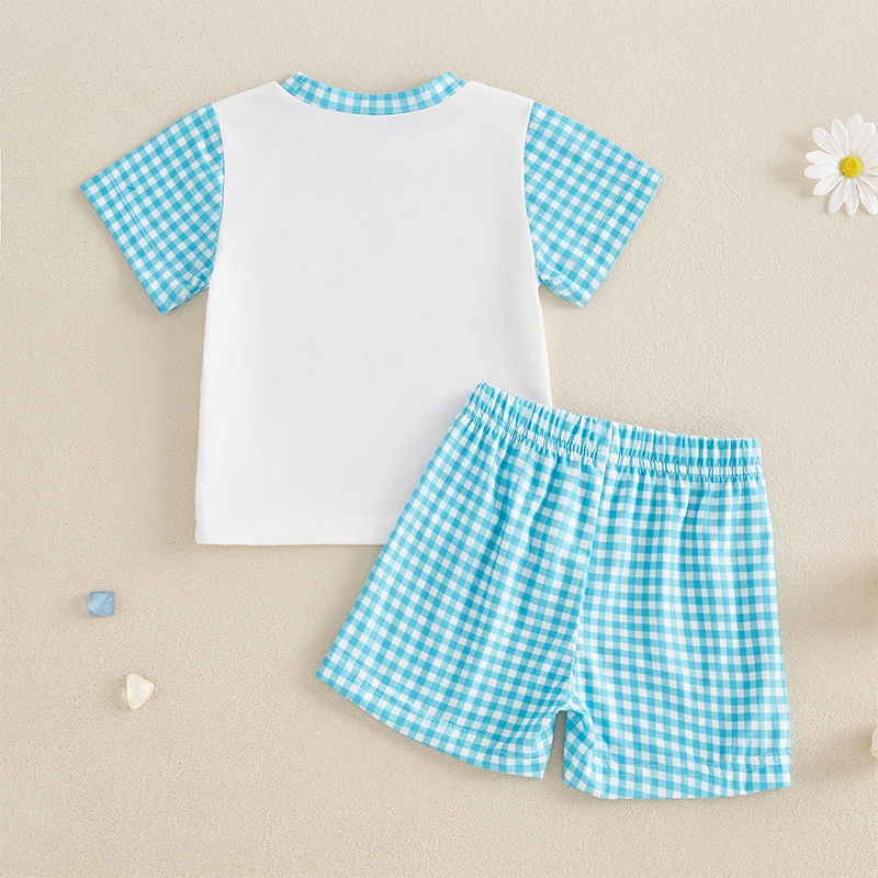 Toddler Boys Easter Shorts Sets Short Sleeve Bunny Carrot Car Print Tops and Plaid Shorts Sets