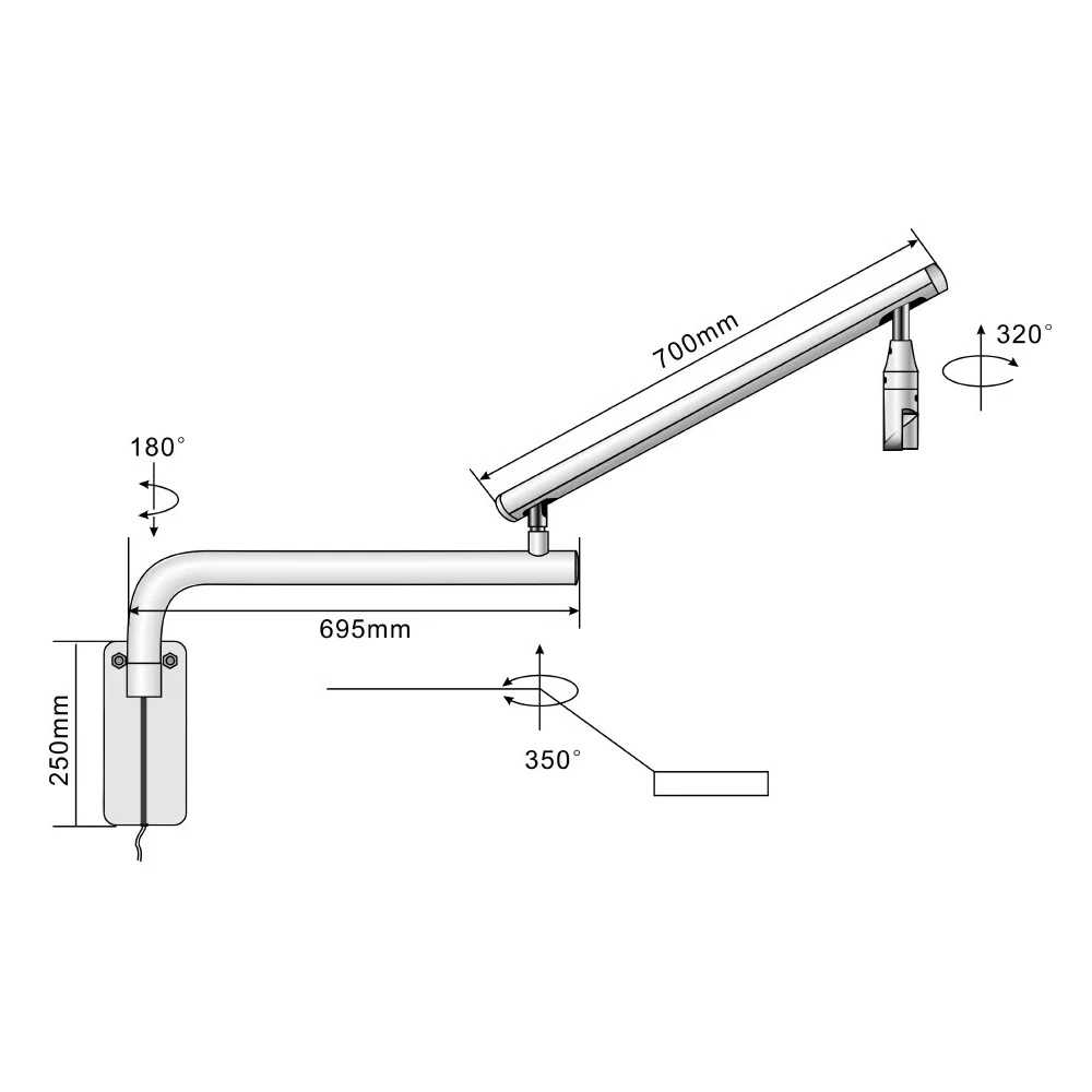Medical Dental Oral Lamp Veterinary Examination LED light Wall Install Lamp Light 22mm Dental chair lamp