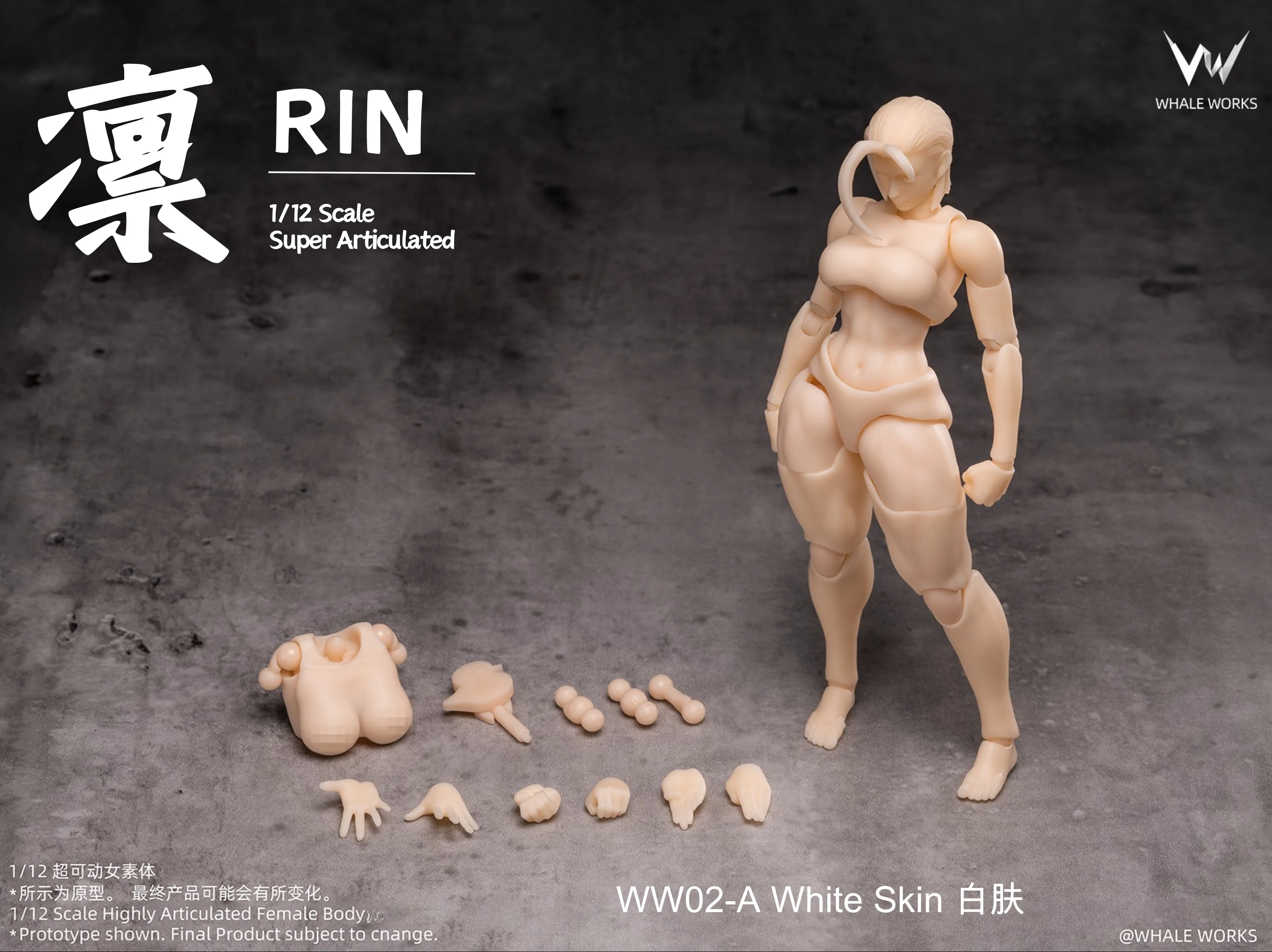 WHALE WORKS 1/12 白肌　ボディ　RIN 凛　眼球可動式ヘッド S7c0eafdc1d8c4ae98eca573c826c3