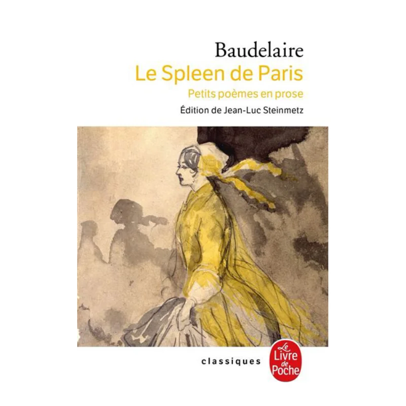 

Le Spleen De Paris Charles Baudelaire Le Livre De Poche 9782253161202 Book