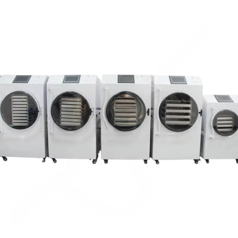 Customized Egg Freeze Dryer Freeze Dryer Machine Home Use Lyophilization Machine