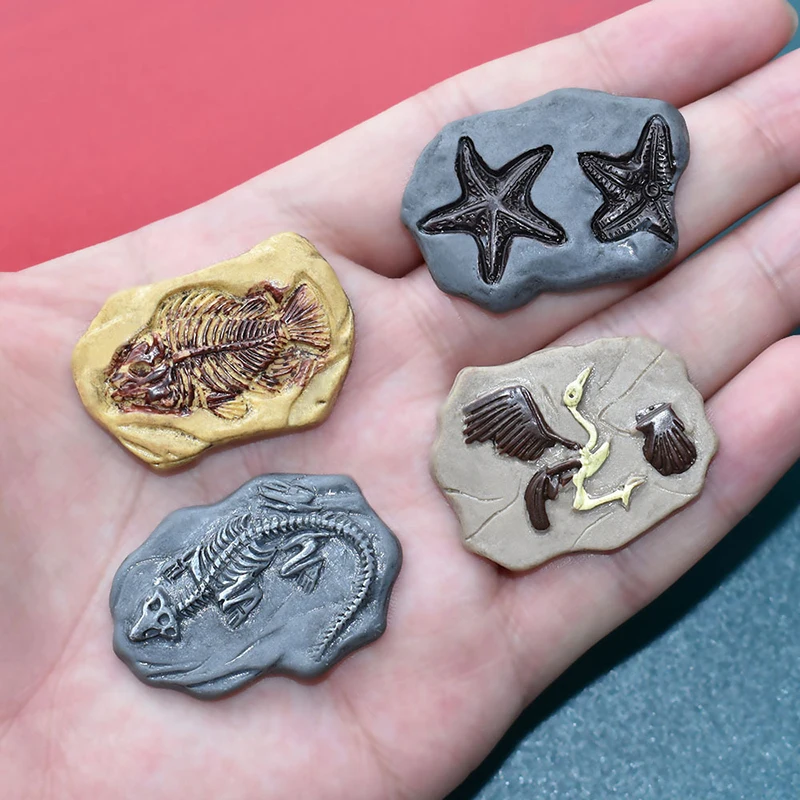 4Pcs Mini Simulation Dinosaur Fossil Model Dollhouse Micro Landscape Miniatures Crafts Decorations Dolls House Ornament Toy