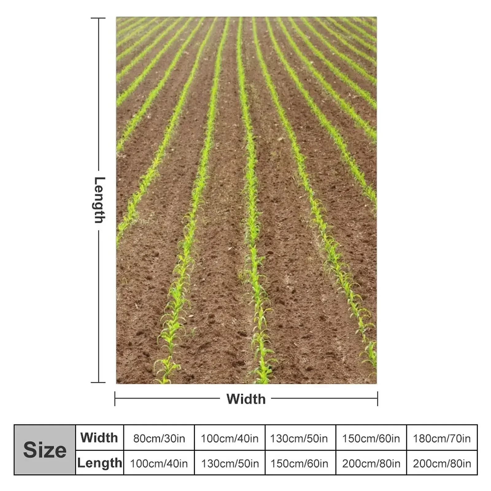 Corn field Throw Blanket Furry Retros Baby Decoratives Beautifuls Stuffeds Blankets