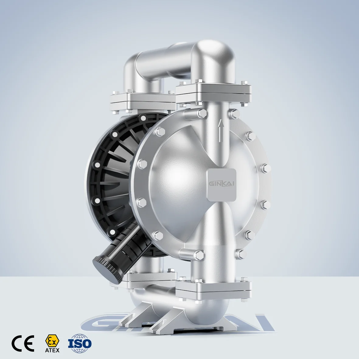 Stainless Steel Pneumatic Double Diaphragm Pump Sludge Mud Chemical Industrial AODD Transfer Pump