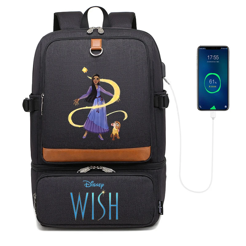 

Disney Wish Backpacks Laptop Backpack Bags Insulated Compartment USB Port Waterproof Cooler Bag School Picnic Lunch Bag