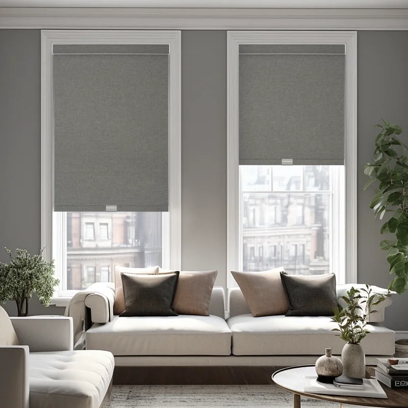 Custom Cordless Roller Blinds Spring System Blackout Child Safety Manual Pull Down No Drill Roller Shades For Bedroom Office