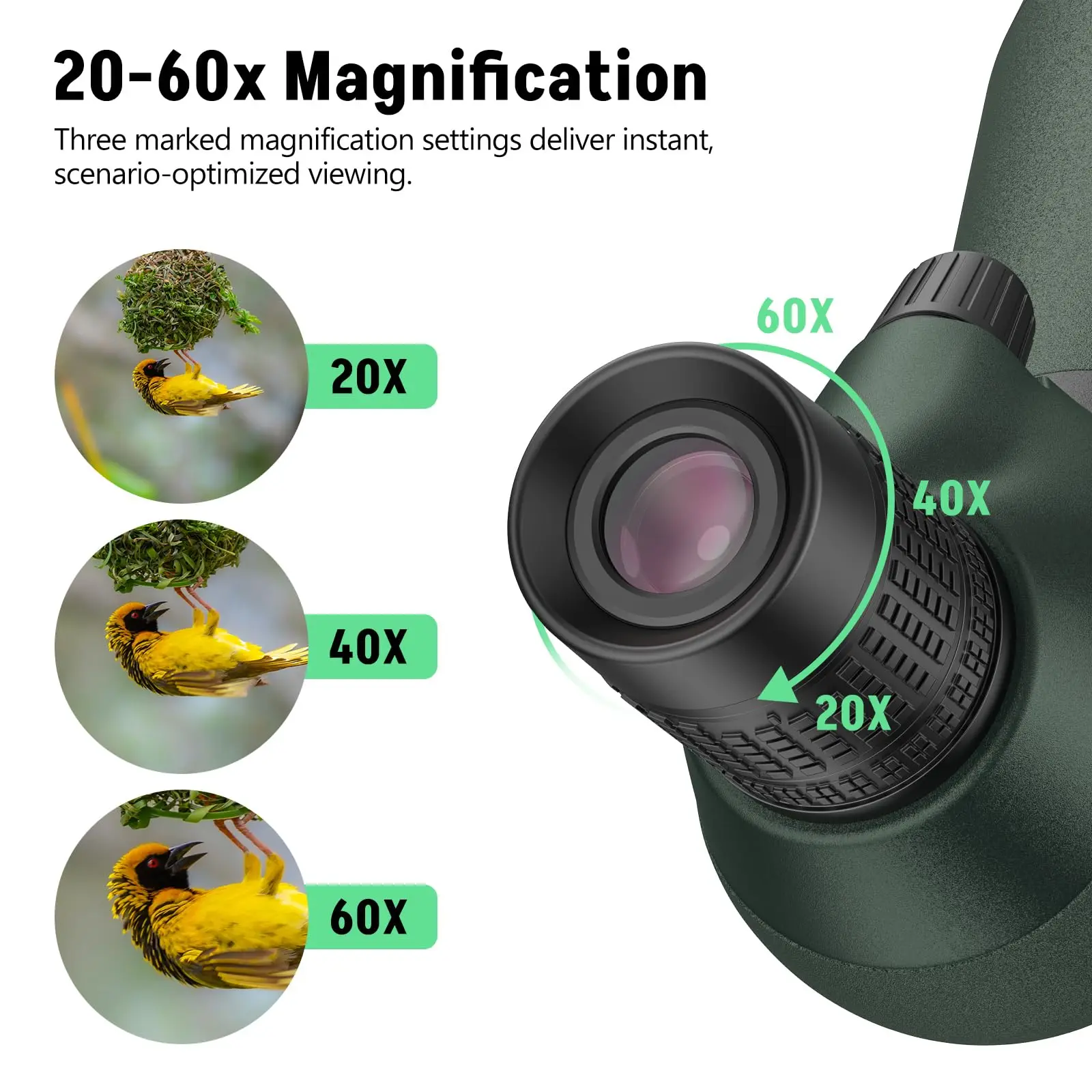 Spotter Scope zum Ansehen von Wildtieren 20-60x80 BAK4 Wasserdichtes Spektiv-Kit mit Stativ-Tragetasche und Telefonadapter Grün