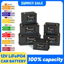 LiFePO4 batería de coche 12V fosfato de hierro y litio ciclo profundo tablero de protección BMS incorporado para Overland/Van/Sports/Carreras/RV