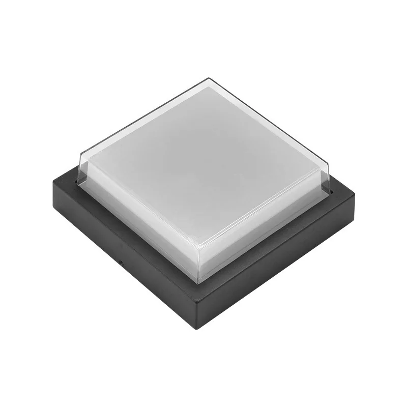 Outdoor Ceiling Light Waterproof Insect Proof for Balcony Courtyard Pavilion Entrance Corridor Corridor Outdoor Eaves