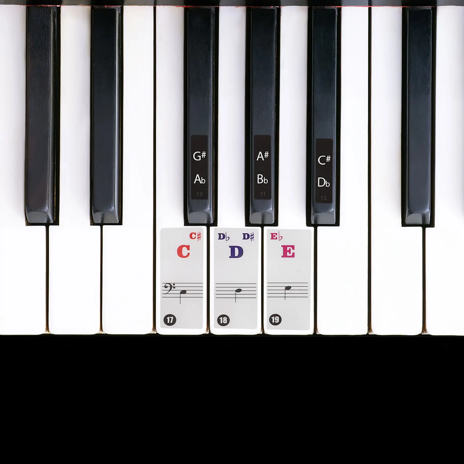 

2 Sheets Piano Keyboard Stickers Professional Design Easy Peel Durable for Beginners Electronic Keyboard Decals Music Learning