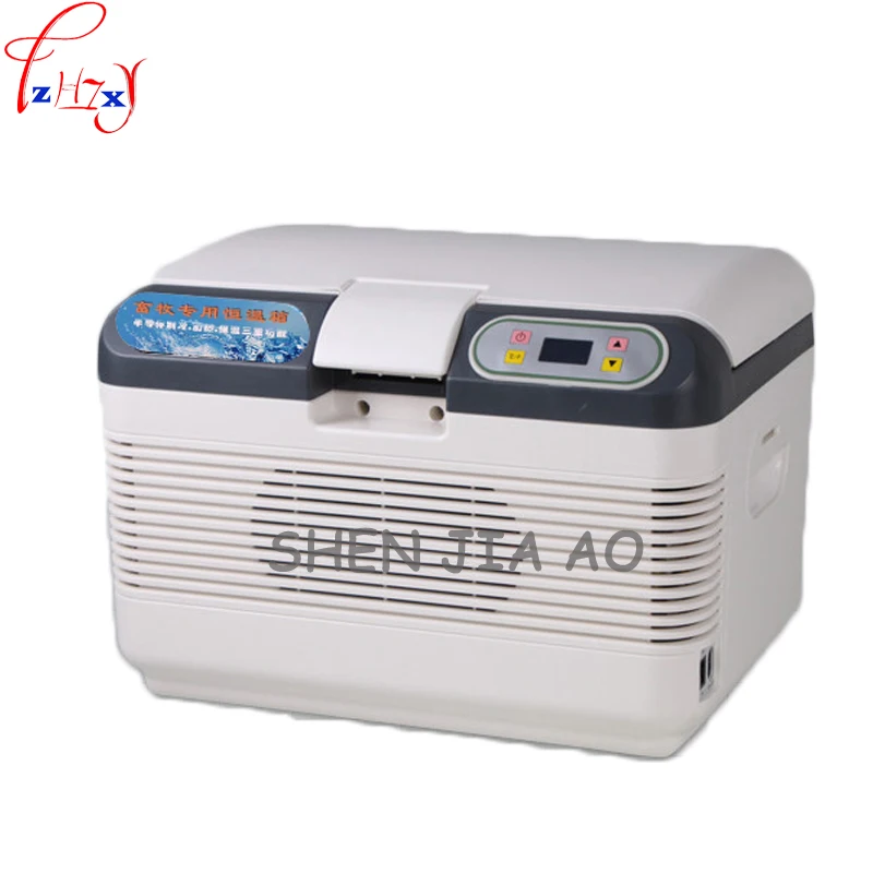12L Per Uso Domestico Portatile frigo temperatura costante 17 gradi auto auto frigorifero frigorifero PER Picnic/di campeggio AC220V/DC12V