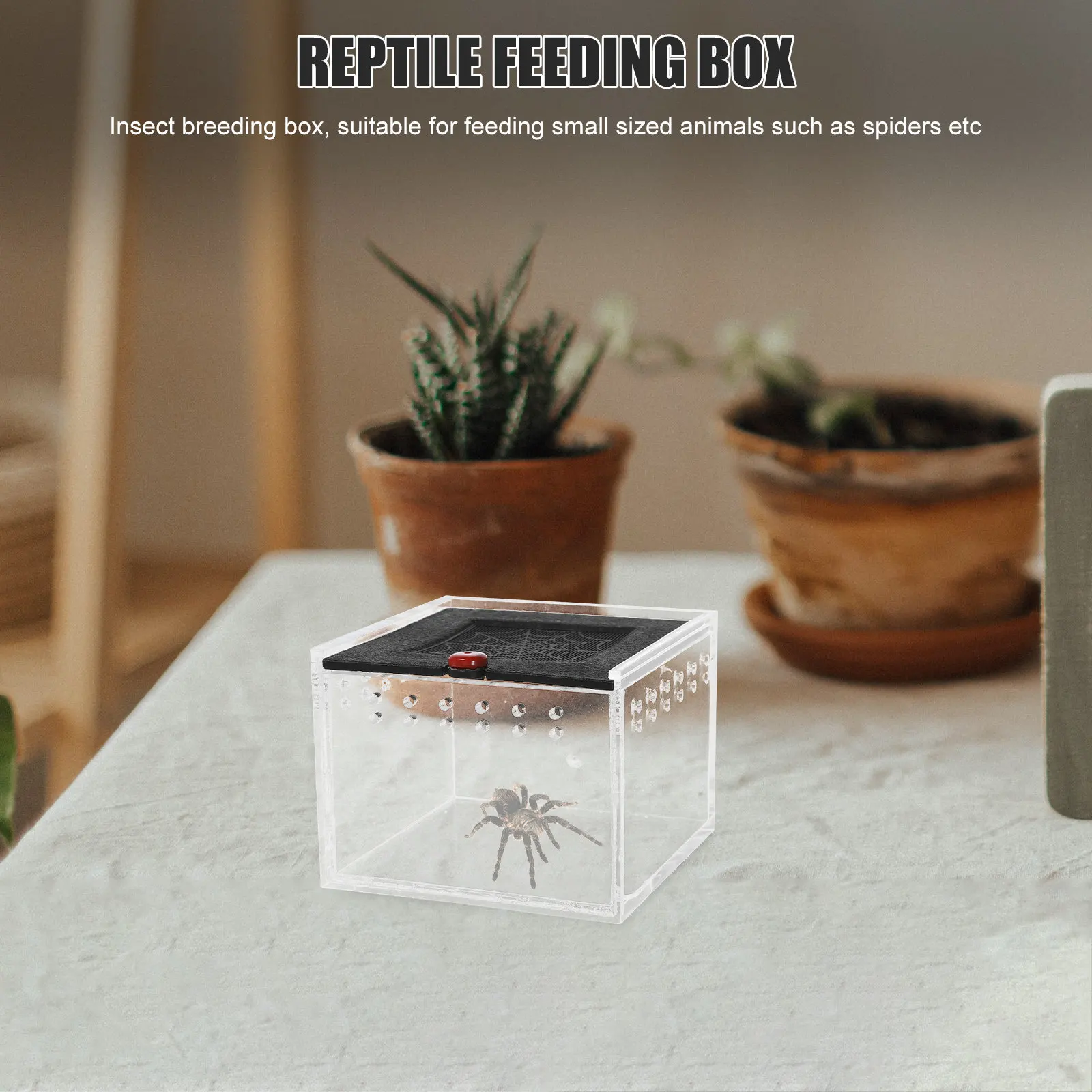 

1 шт. акриловый контейнер для кормления и разведения рептилий, вентилируемый, с защитой от побега, для мелких животных, пауков, скорпионов, гекконов