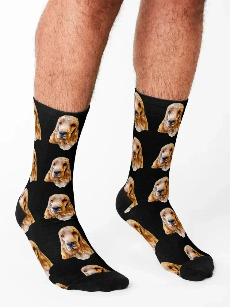 Cocker Spaniel Gold Beauty Socks new year fashionable Wholesale warm winter Boy Socks Women's
