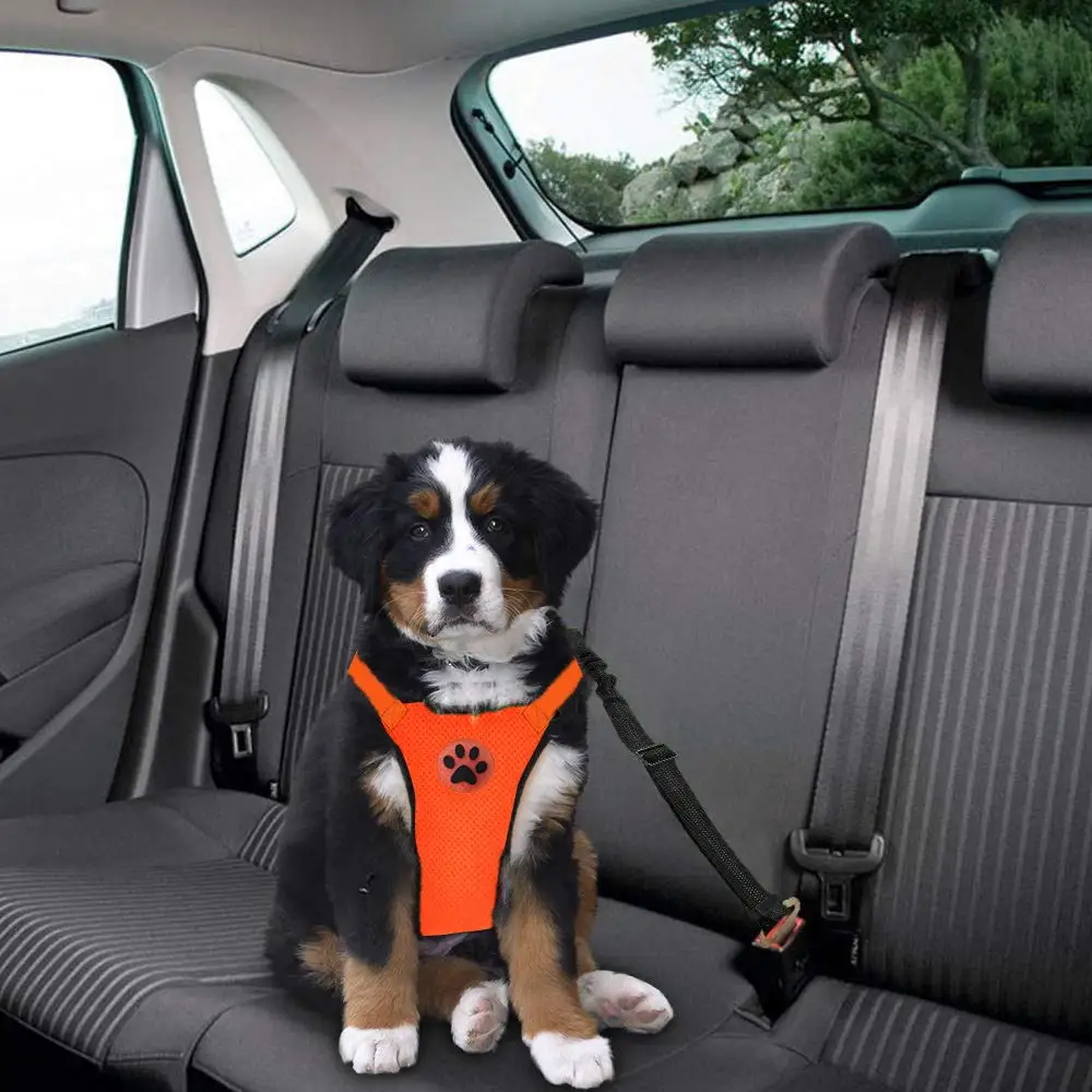 Dog Car Harness Seatbelt Set, Dog Vest Harness Adjustable with Breathable Mesh & Vehicle Safety Seat Belt Tether with Elastic Bu