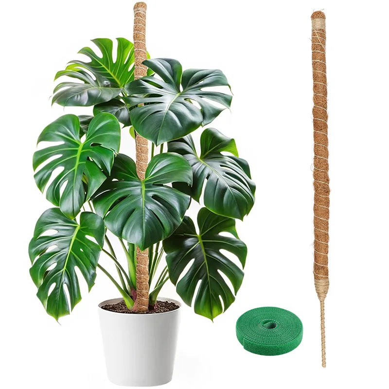 60-100CM Bendable Plant Climbing Support Moss Poles Monstera Palm Vines Extension Potted Plants Stick Home Garden Decor Supplies