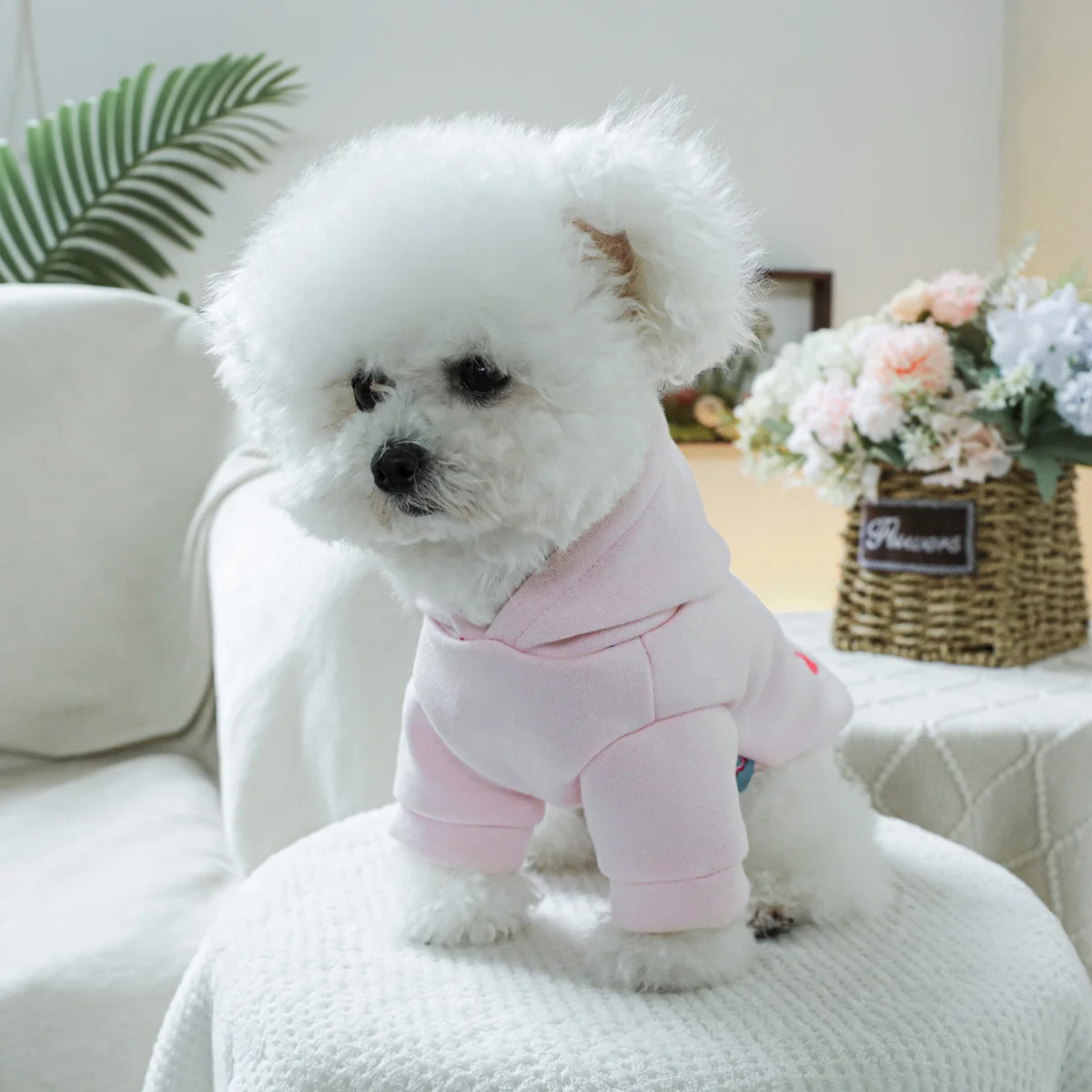 1PC Pet Clothing Spring and Autumn Velvet Pink Little Princess Hoodie Hat Hoodie Suitable for Small and Medium sized Dogs