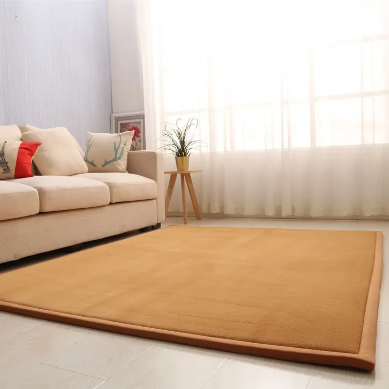 Coral Fleece 2.5cm Thick Carpets Soft Yoga Solid Color Kid Bedroom Play Area Rug Front Doormat Home Living Room Tatami Floor Mat