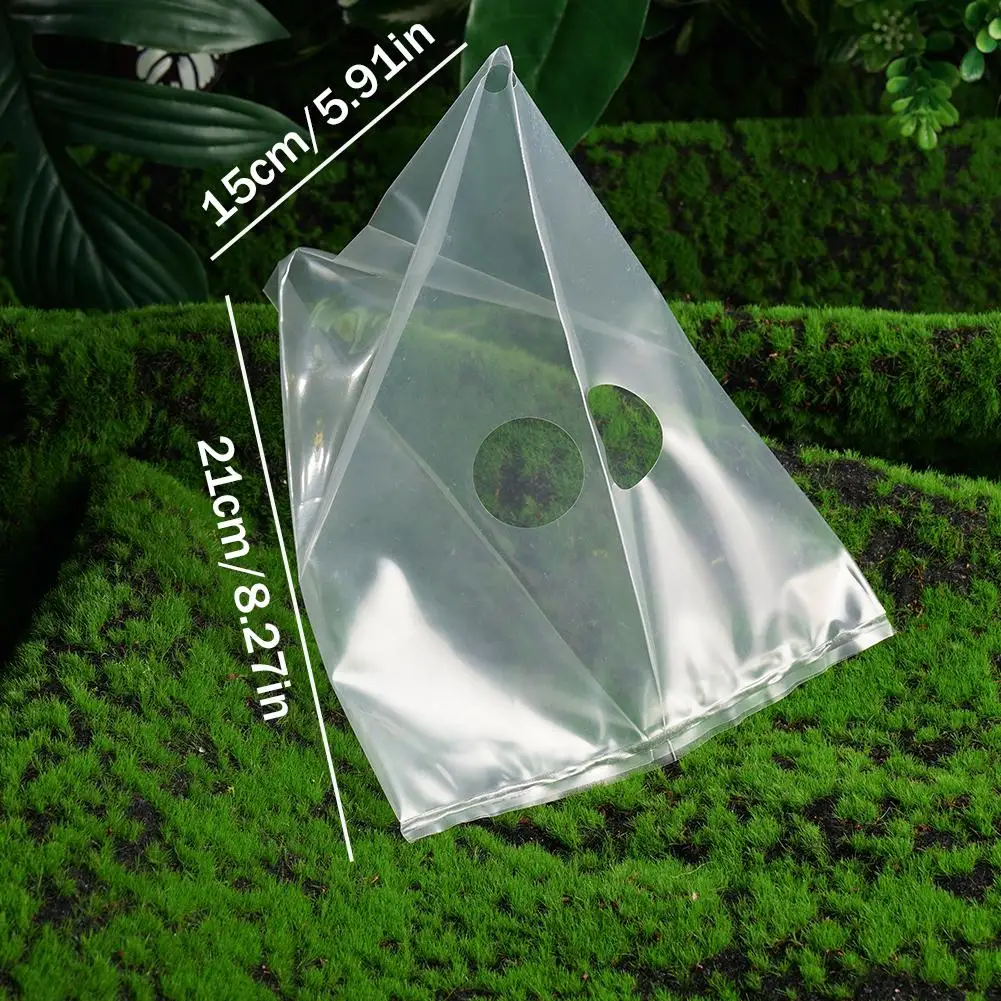 

Snail Cage Convenient Easy To Use Transparent Eco Friendly Catcher Slug 1pc K5o8