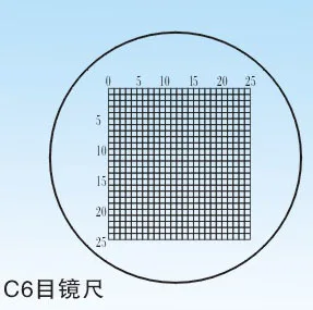 

5 pcs C6 0.2 Mesh Eyepiece Micrometer--Shangguang No.5 Factory/Eye Micrometer Warranty