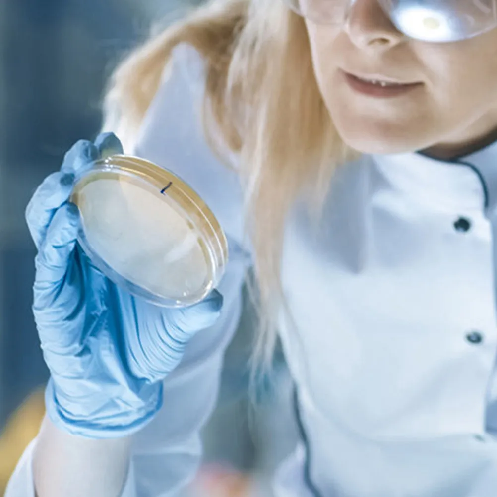 Placas de Petri de Agar Nutritivo Prellenadas y Empaquetadas Individualmente para un Crecimiento Microbiano Eficiente en Laboratorios y Entornos Educativos