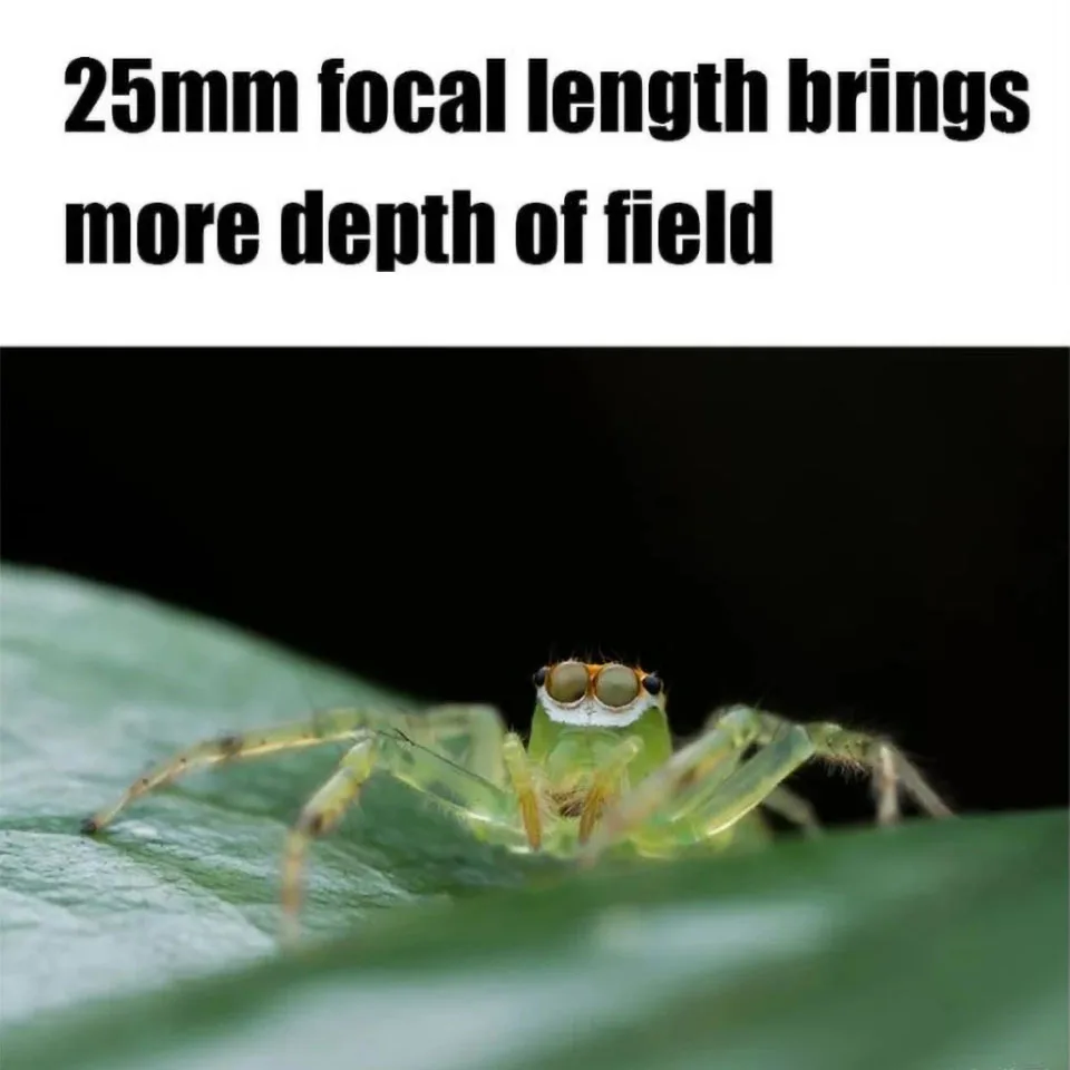 AstrHori 25 مللي متر F2.8 الترا ماكرو عدسة 2X-5X التكبير كامل الإطار MF عدسة لسوني NEX-7 ZV-E10 فوجي X-A10 نيكون ZFC كانون R6