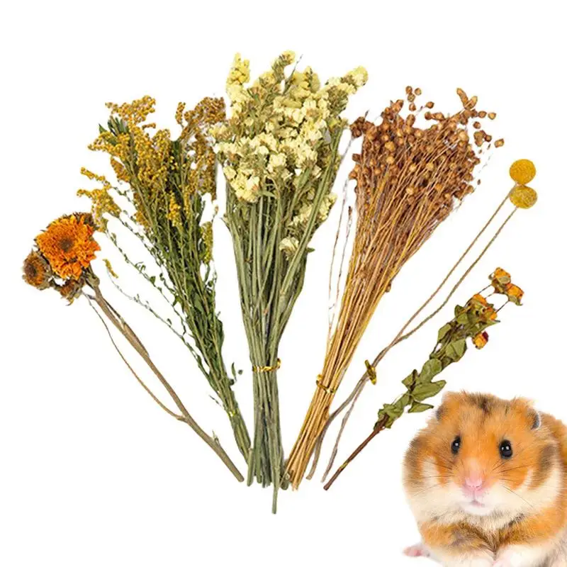 Flower And Plant Bedding Hamster Deodorizing Bedding Golden Bear Nest Landscaping Supplies Dried Flowers