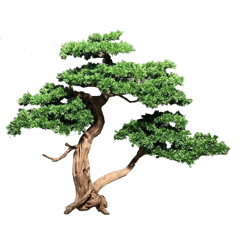 

Моделирование Podocarpus Macrophyllus Tree Добро пожаловать красота сосна мягкое украшение прихожая пейзажное украшение дзен орнамент