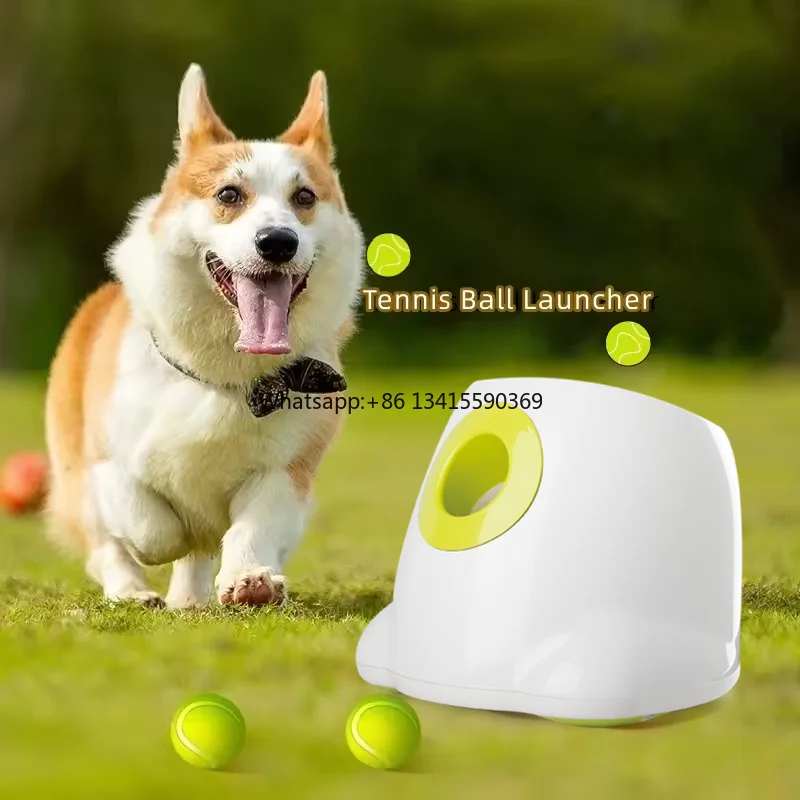 

a Mazon Mini Automatic Dog Throwing Machine Thrower Auto Dog Fetch Ball Launcher Interactive Pet Puppies Toys for Small Dogs