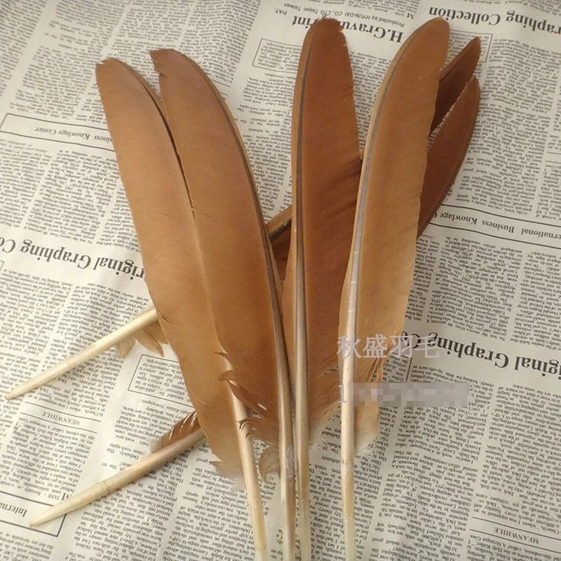 Rare feather bow and arrow feather material handicraft specimen feather celebration decoration stage performance DIY