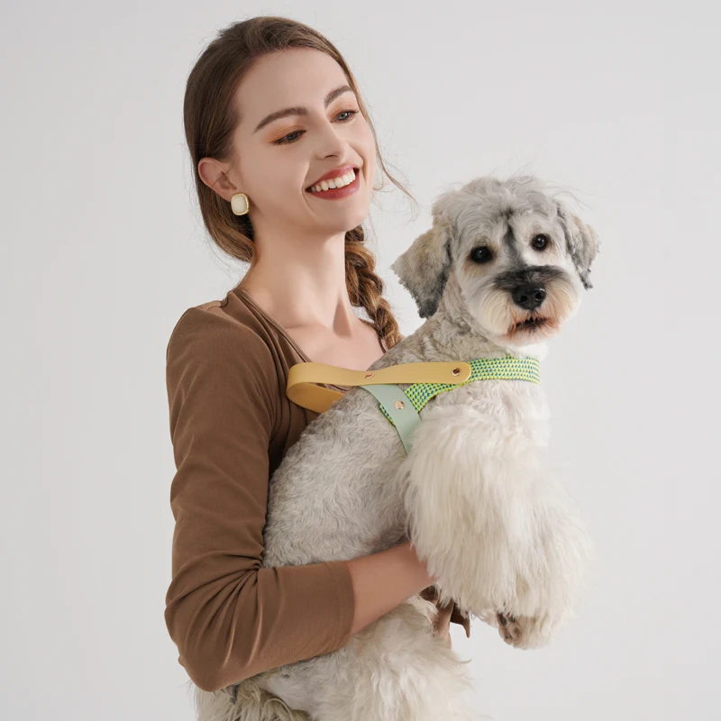 Dog walking Simple Style Harness Pet Supplies Fashionable Black & White Striped Chest Harnesses And Leashes Set For Running Dog
