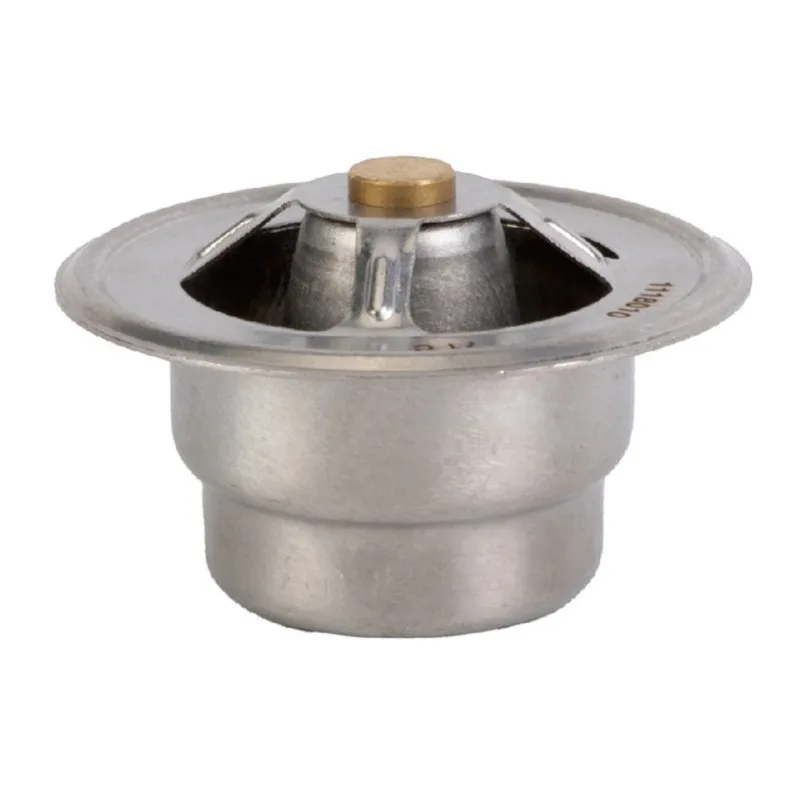 Automobile Engine Parts for Cat Thermostat SL60W C22AL-1118010-1A 411000018626