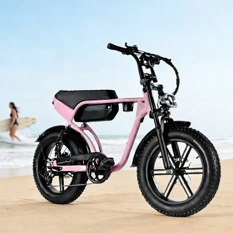 BR EU AU Stock RSE Mountain EBike 20inch 48V 250W 20AH Lithium Hydraulic Brake Fat Tire Aluminum Frame 7-Speed Double Suspension