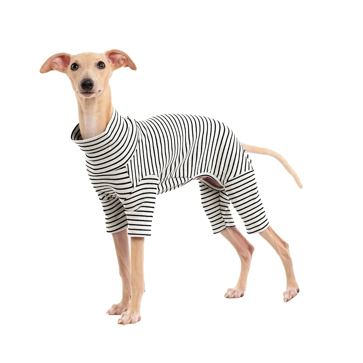 Striped Turtleneck Knit Dog Sweater for Small Medium Large Dogs Fall Winter Pullover, Customized