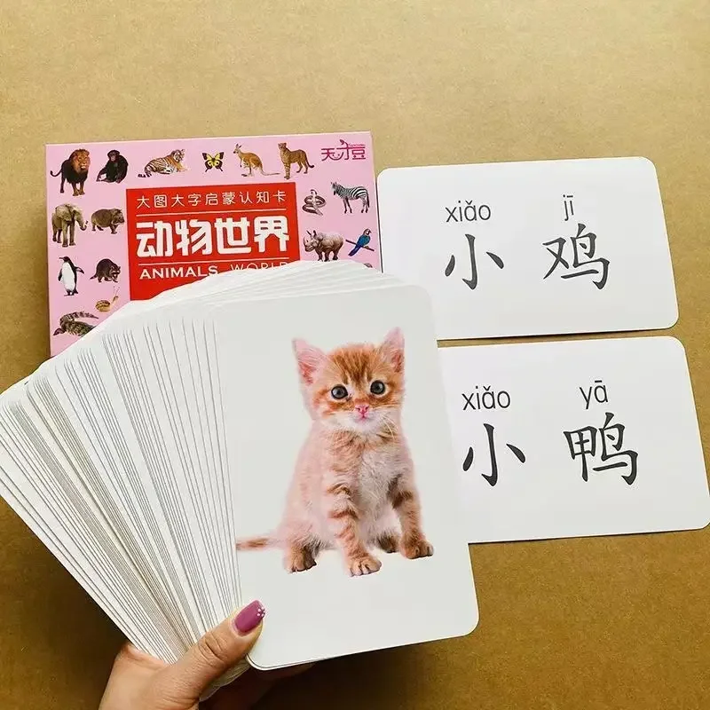 New1 Set The Book of Children Recognize The World Flag Card Thickened and Torn