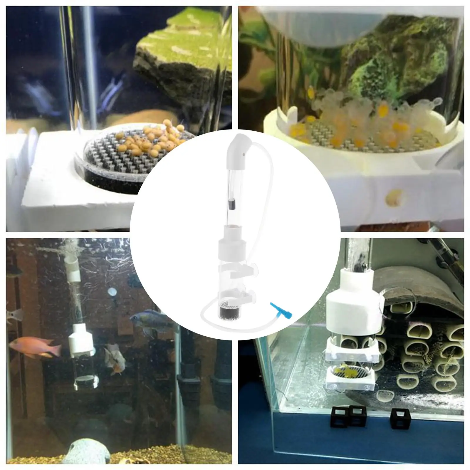 Fish Breeder Box Transparent Incubator for Aquarium Egg Hatching Isolation Breeding Pond Tool for Cichlid Mouth Brooding