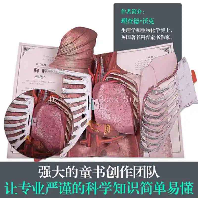 Human Body Pop-up Book, Anatomy To Explore The Mysteries of Body Operation (our Body Advanced Edition) Encyclopedia