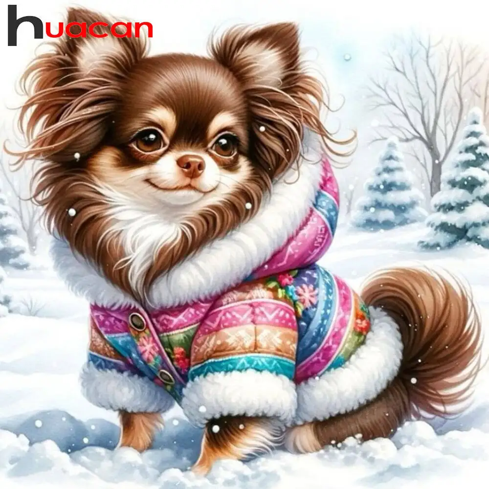 

Huacan 2021, новая коллекция, алмазные картины, дельфин, небо, алмазная вышивка, морской закат, мозаика, художественные украшения, картины