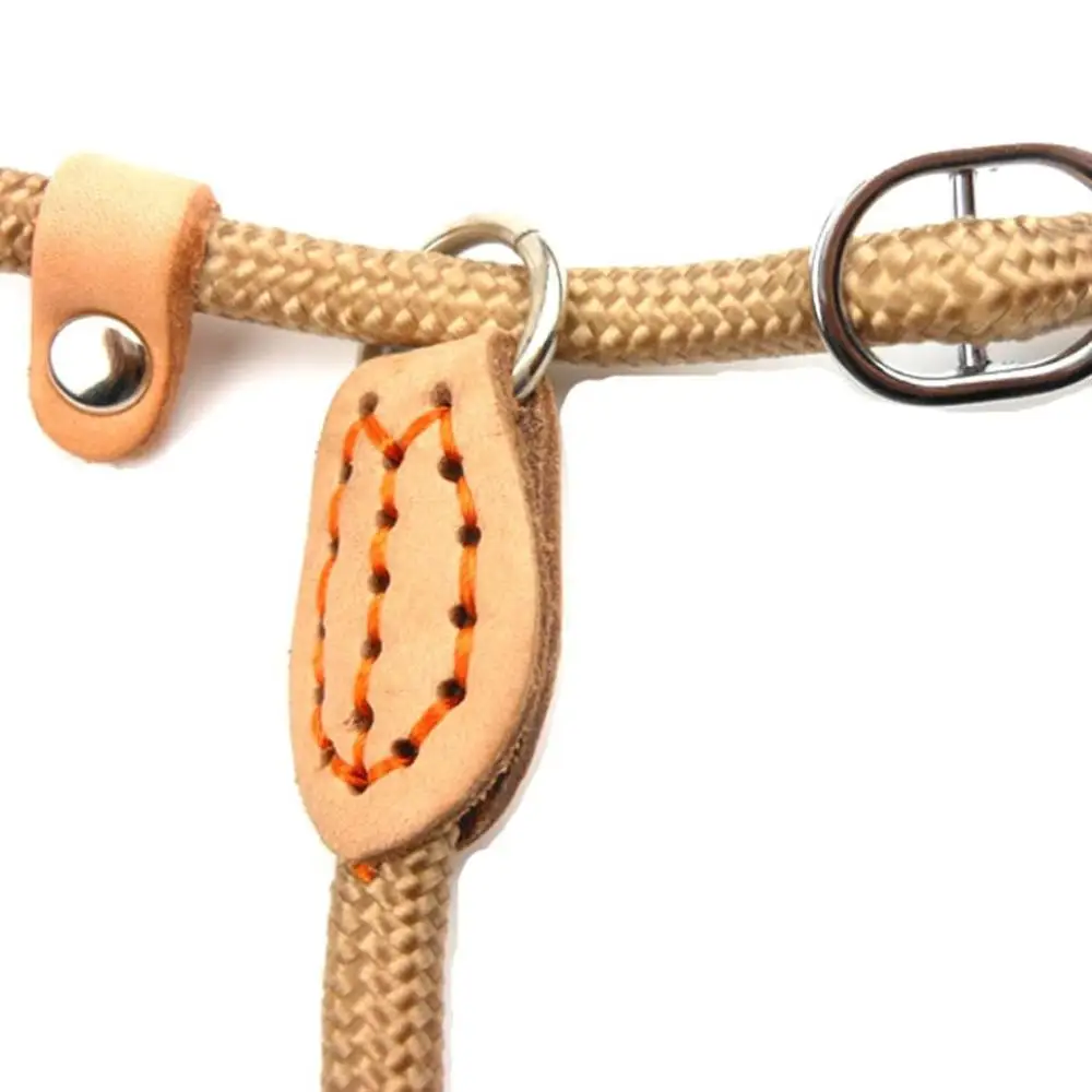

1.5/1.8 m Adjustable Nylon Lightweight Puppy Rope Solid Color Dog Training Supplies Dogs Harness Dog Leash Pet Leads Belt